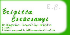 brigitta csepcsanyi business card